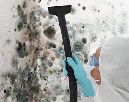 Best Air Quality Testing for Mold Spores  in Wyomissing, PA